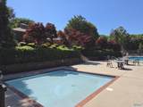 Lot 28 Pikes Peak Drive - Photo 8