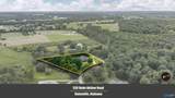 339 Bobo Hollow Drive - Photo 50