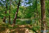 138 River Walk Trail - Photo 41