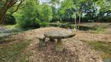 861 Scott Road - Photo 16