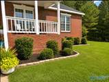 75 Colleen Court - Photo 24