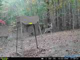 100 ac Highway 11 - Photo 1