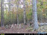 100 ac Highway 11 - Photo 2