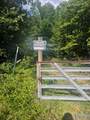 100 ac Highway 11 - Photo 6