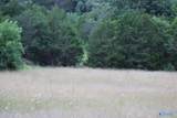 30 Ac Highway 11 - Photo 11