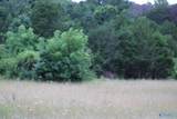30 Ac Highway 11 - Photo 16