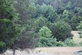 30 Ac Highway 11 - Photo 2