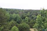 30 Ac Highway 11 - Photo 3