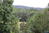 30 Ac Highway 11 - Photo 5