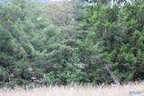 30 Ac Highway 11 - Photo 6