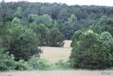 30 Ac Highway 11 - Photo 8