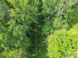 19.68 ac County Road 611 - Photo 6