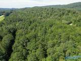 19.68 ac County Road 611 - Photo 7