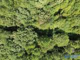 19.68 ac County Road 611 - Photo 8