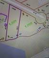 Lot 9 County Road 567 - Photo 1