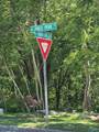 31 Lots Mathis Mountain Road - Photo 6