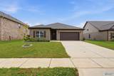 250 Paladin Street - Photo 1