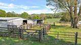 61 Acres Greenhill Blvd - Photo 11