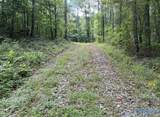 37 Acres County Road 940 - Photo 12