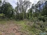 37 Acres County Road 940 - Photo 21