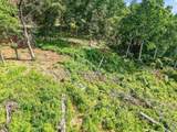 423 Keene Point Drive - Photo 15