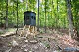 100 Runell Drive - Photo 10