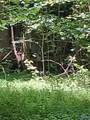 455 Rice Road - Photo 4