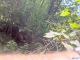 455 Rice Road - Photo 6