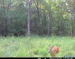 2703 Hwy 36 - Photo 10