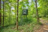 5493 County Road 4 - Photo 4