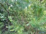 85 County Road 451 - Photo 16