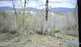 75 Vista Trail - Photo 5