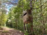 4415 Bristow Cove Road - Photo 21