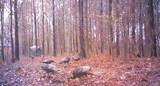 4415 Bristow Cove Road - Photo 26