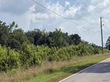 123 County Road 69 - Photo 3