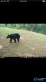 1032 County Road 202 - Photo 20