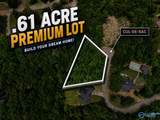 255 Shady Hollow Trail - Photo 1