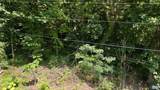 Lot 17 Tanglewood Lane - Photo 16
