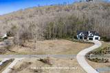 7.33 acres Signal Point Road - Photo 6