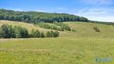 89 acres White Pike - Photo 19