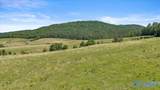 89 acres White Pike - Photo 20