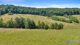 89 acres White Pike - Photo 21