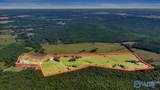 89 acres White Pike - Photo 3