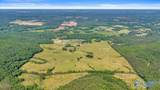 89 acres White Pike - Photo 33