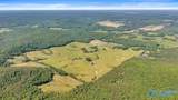 89 acres White Pike - Photo 34