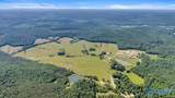 89 acres White Pike - Photo 35