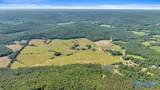 89 acres White Pike - Photo 37