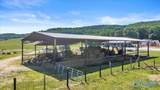 89 acres White Pike - Photo 5