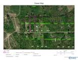 31 Acres County Road 814 - Photo 13