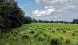 26 Acres Piney Chapel Road - Photo 13